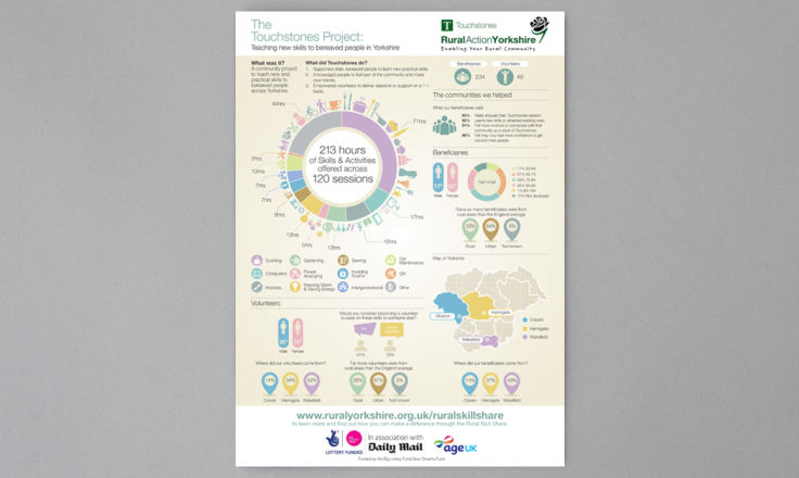 RAY Infographic - Illustration