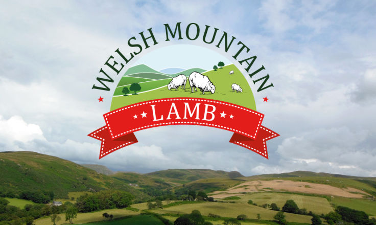 Welsh Mountain Lamb - Logo Design