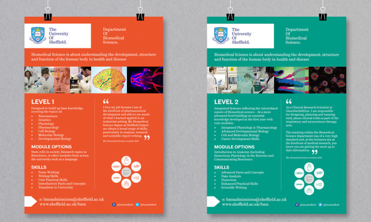 The University Of Sheffield - Print Design