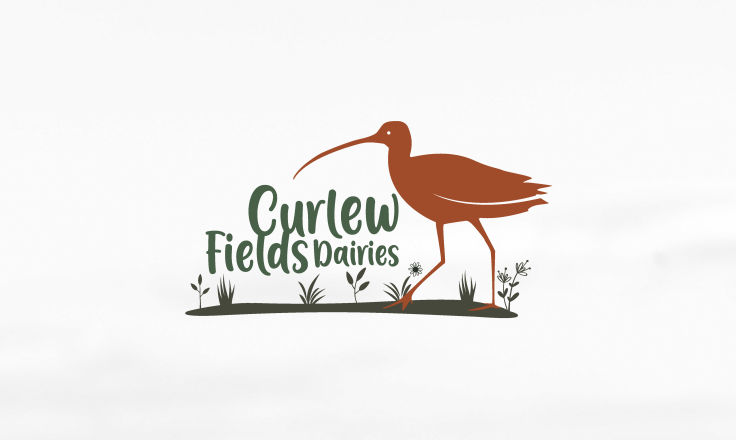 Curlew Fields Dairies - Logo Design